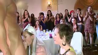 Naughty chicks give a blowjob to a guy at the hen party