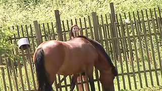 Awesome couple fuck outdoors as they rest after an adventurous horse ride