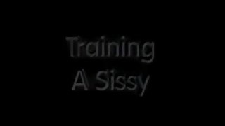 Training A Sissy