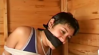 Sexy chick with short dark hair tied up in a toolshed