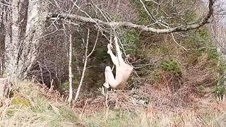 Naked self-bondage in the woods gone wrong.