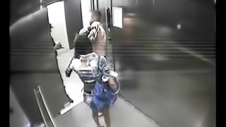 Hot brunette going down on her boyfriend in the elevator