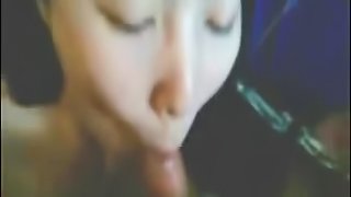 Homemade video of an asian babe sucking cock and getting fingered