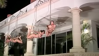 Some maniacs are hanging three sex babes