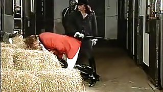 stable anal