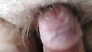 rubbing my cock on her hairy pussy.