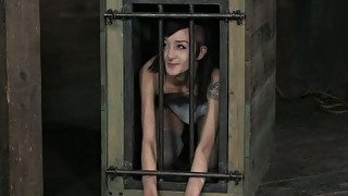 Chick in cage watches how master spanks other slave