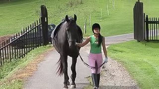 Luscious brunette gets her pussy screwed hardcore in the stable