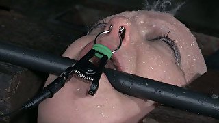 Bald white slut Abigail Dupree is a queen of hard BDSM sessions