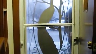 Roleplay action with the gf. retarded guy fucks the neighbor girl !!!